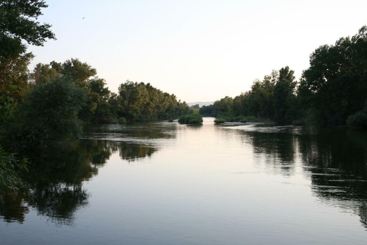 Gites Chateau De La Selve Grospierres Bagian luar foto