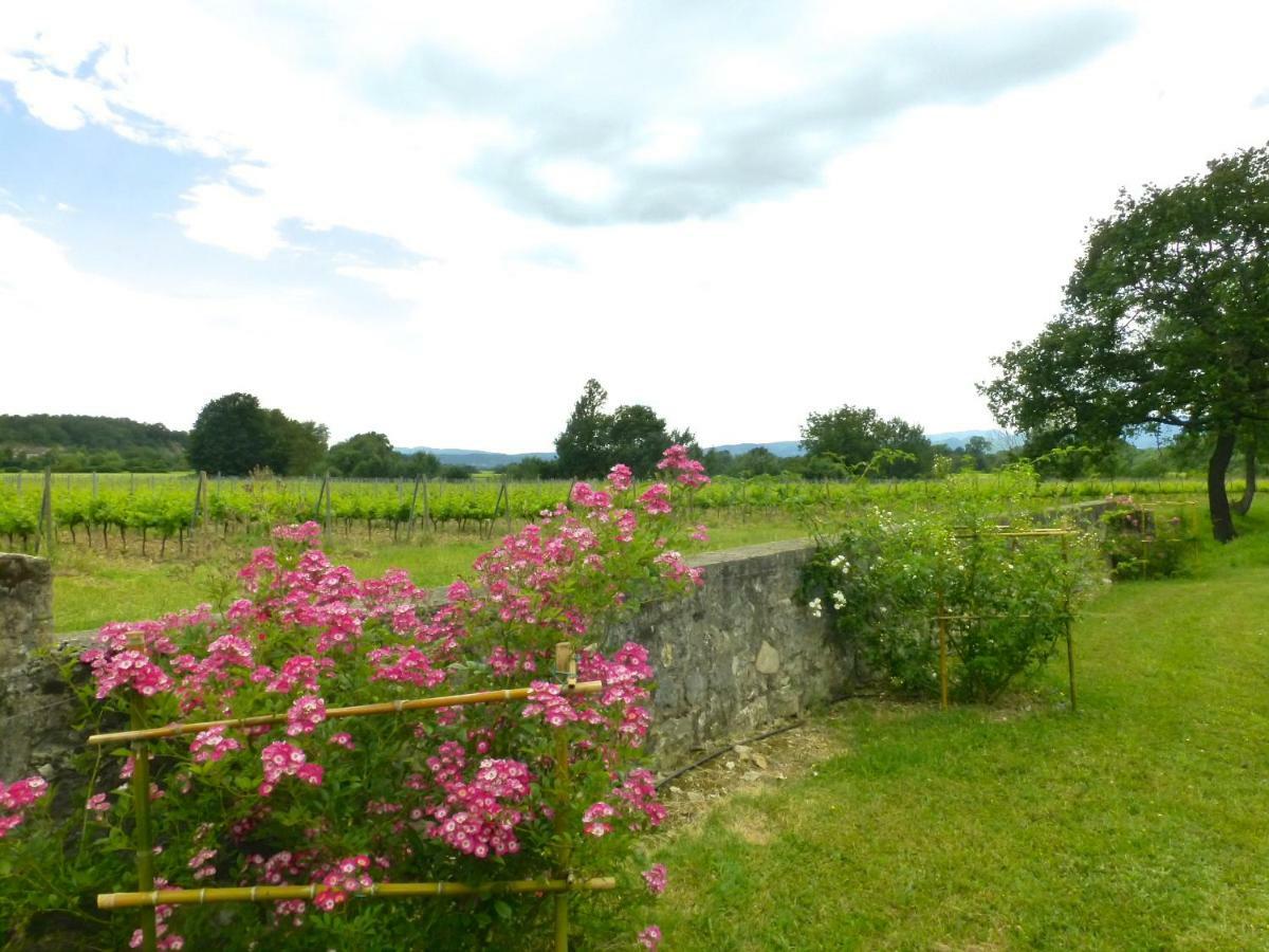 Gites Chateau De La Selve Grospierres Bagian luar foto